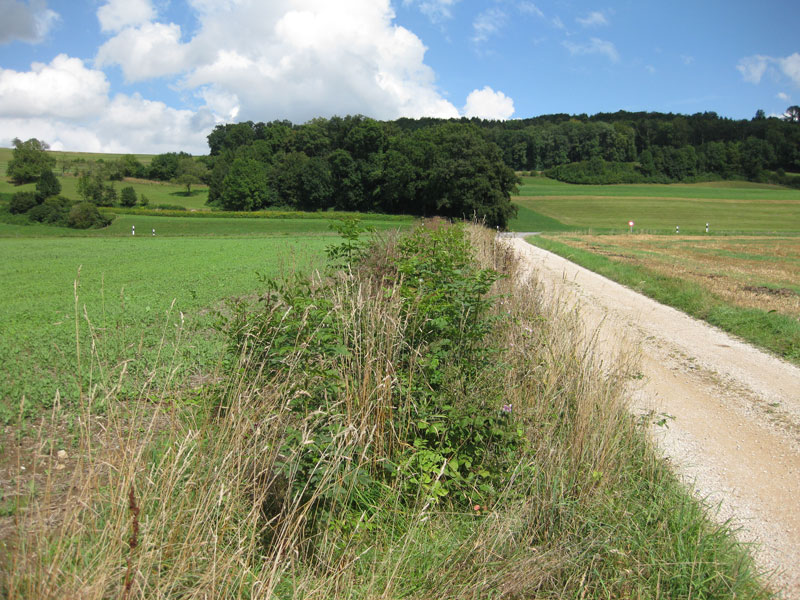 Graben neben Feldweg