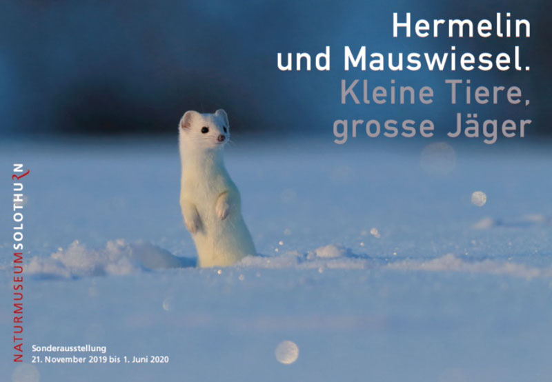 Plakat zur Sonderausstellung Naturmuseum-Solothurn