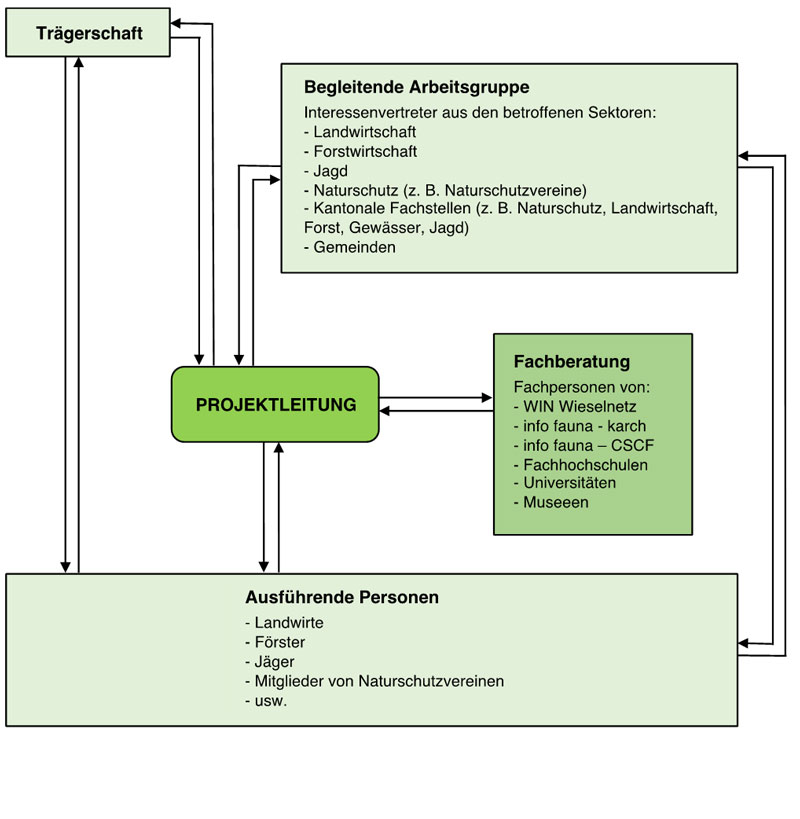 Schema zur Organisation bei einem Förderprojekt