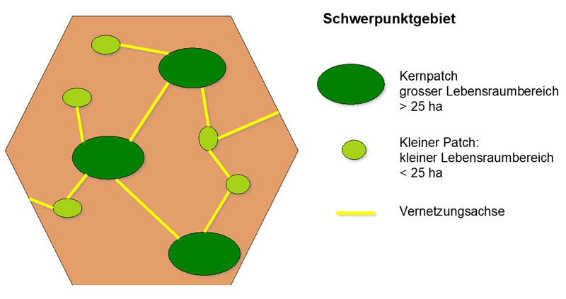 Schema Schwerpunktgebiete bei einem Förderprojekt