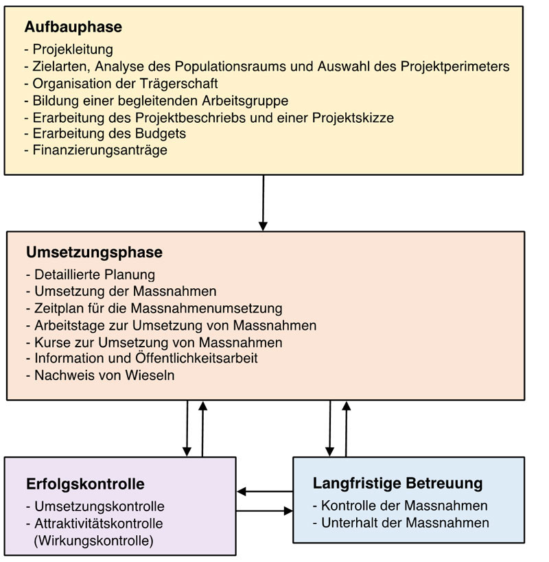Schema zum Vorgehen bei einem Förderprojekt