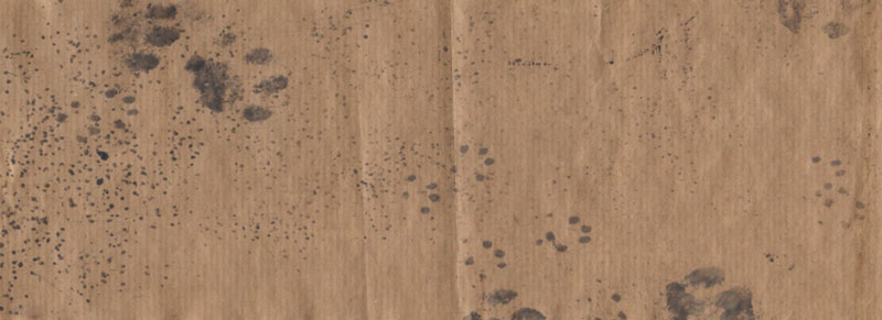 Spurenpapier mit Tierspuren