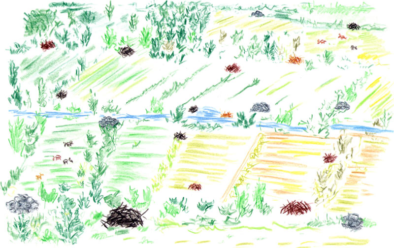 Wiesellandschaft gezeichnet mit Farbstift