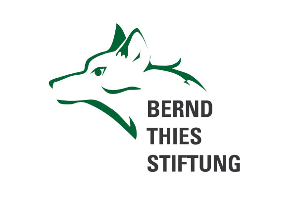 Logo Bernd Thies Stiftung