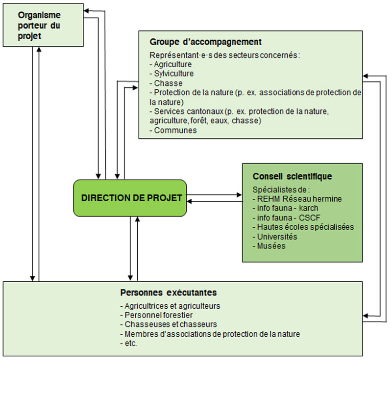 Schéma d'organisation pour un projet de promotion