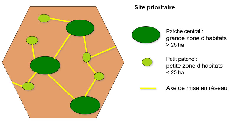 Schema Schwerpunktgebiete bei einem Förderprojekt